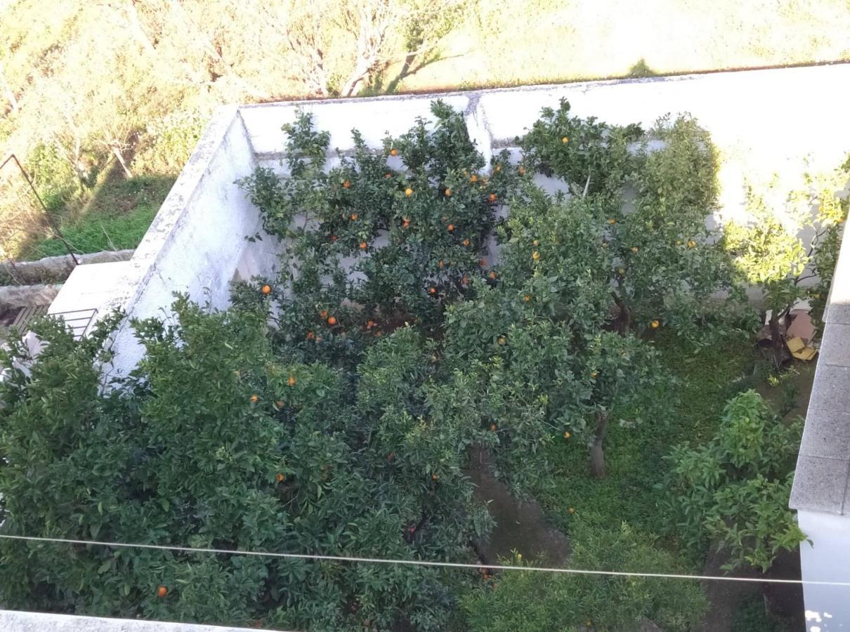 Villa Gardenia Ostuni Exterior foto