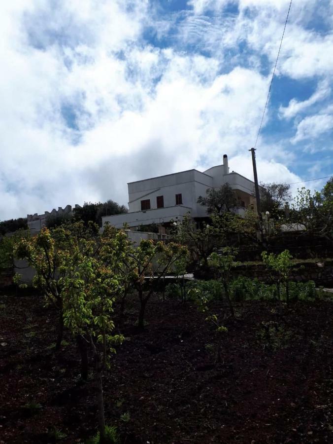 Villa Gardenia Ostuni Exterior foto